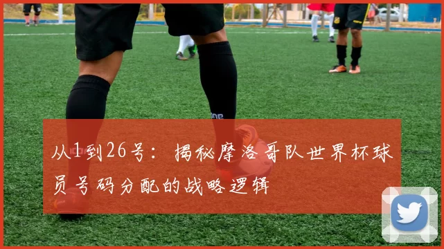 从1到26号：揭秘摩洛哥队世界杯球员号码分配的战略逻辑