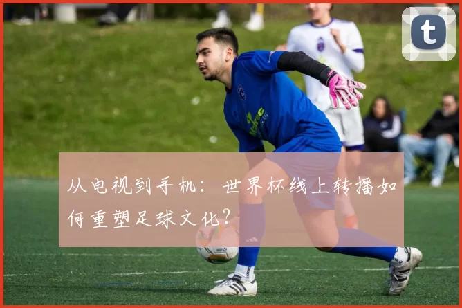 从电视到手机:世界杯线上转播如何重塑足球文化?