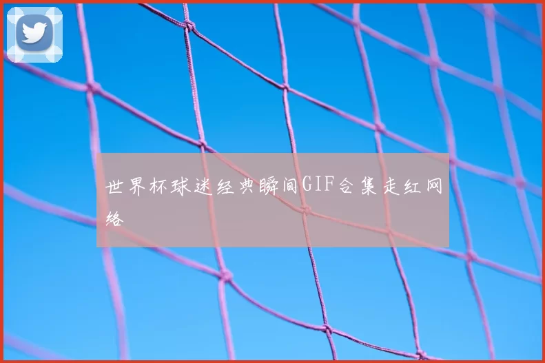 世界杯球迷经典瞬间GIF合集走红网络
