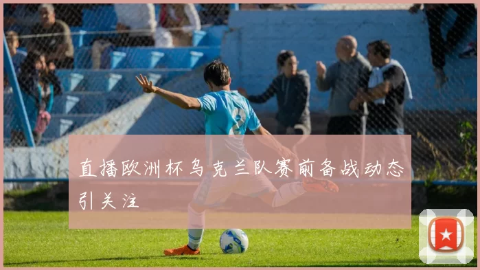 直播欧洲杯乌克兰队赛前备战动态引关注