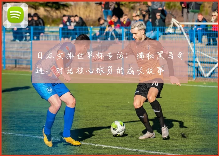 日本女排世界杯专访：揭秘黑马奇迹，对话核心球员的成长故事
