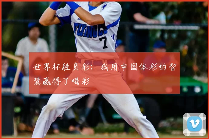 世界杯胜负彩：我用中国体彩的智慧赢得了喝彩
