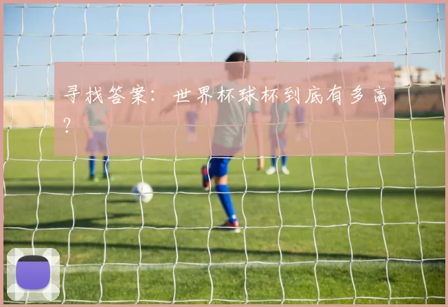 寻找答案:世界杯球杯到底有多高?