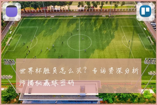 世界杯胜负怎么买？专访资深分析师揭秘赢球密码
