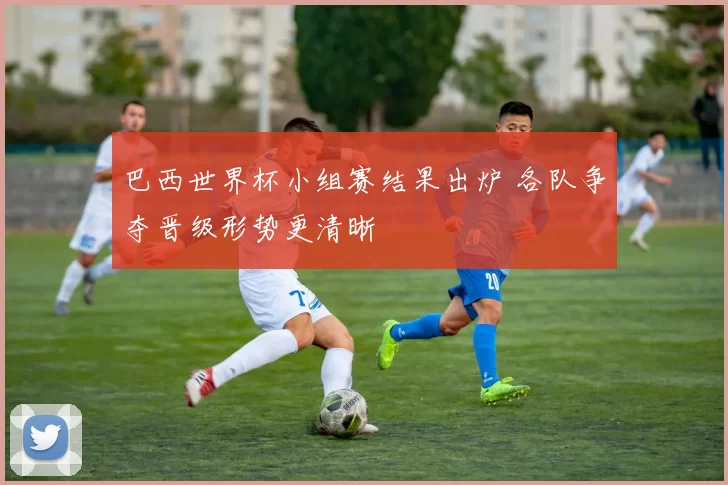 巴西世界杯小组赛结果出炉 各队争夺晋级形势更清晰