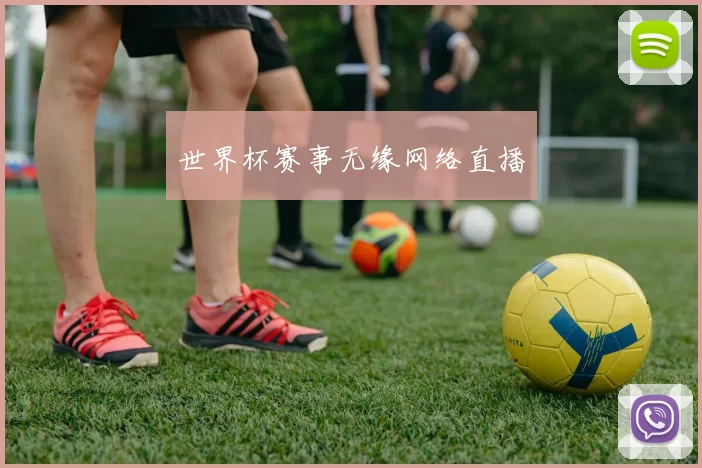 世界杯赛事无缘网络直播