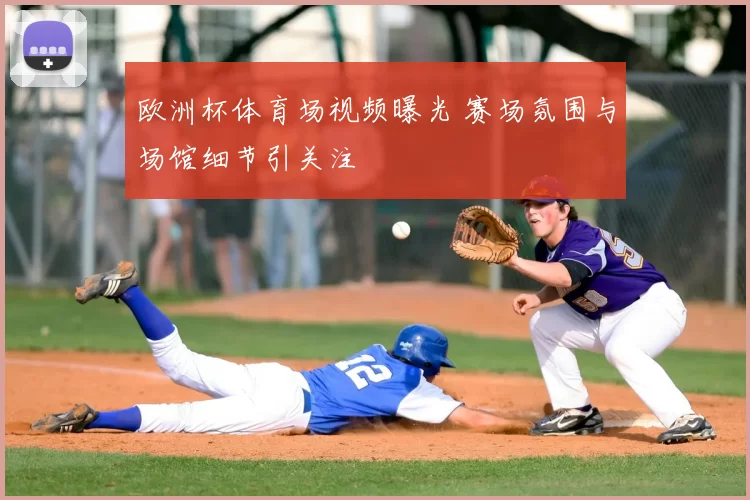 欧洲杯体育场视频曝光 赛场氛围与场馆细节引关注