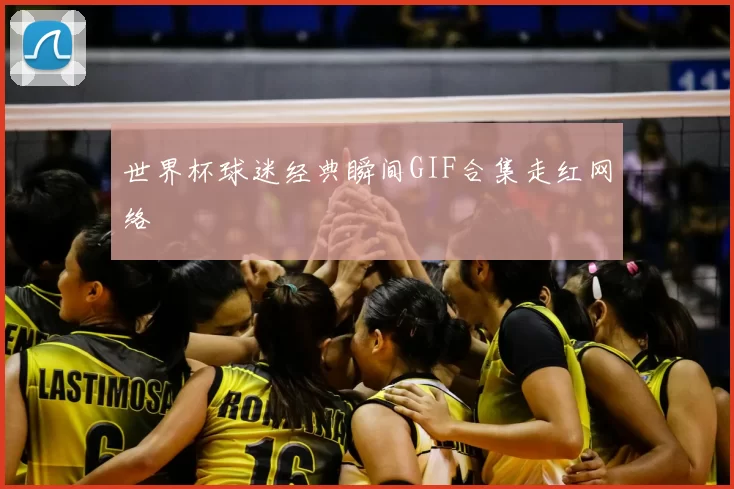 世界杯球迷经典瞬间GIF合集走红网络