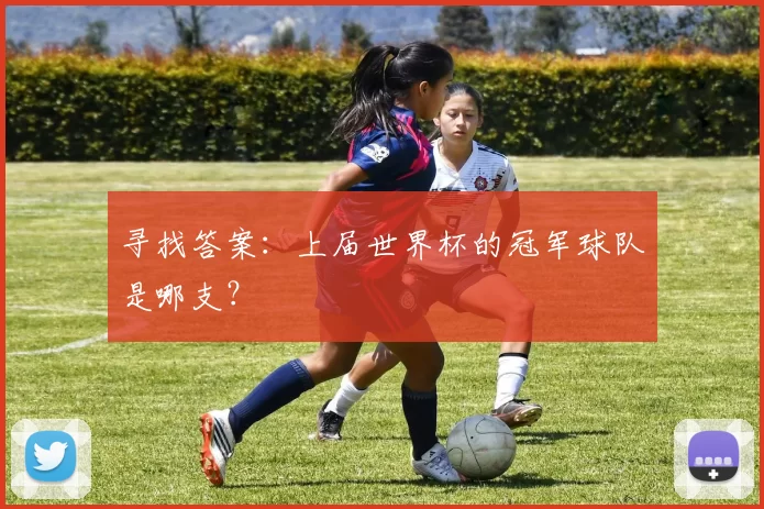 寻找答案：上届世界杯的冠军球队是哪支？