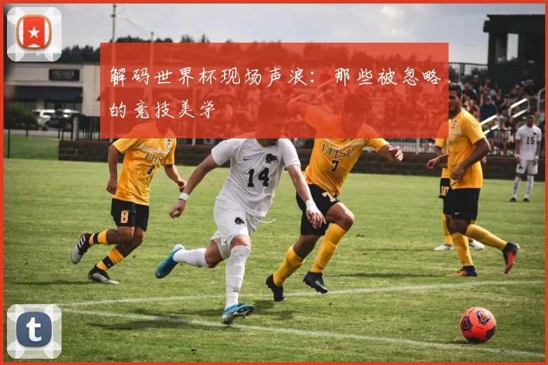 解码世界杯现场声浪：那些被忽略的竞技美学