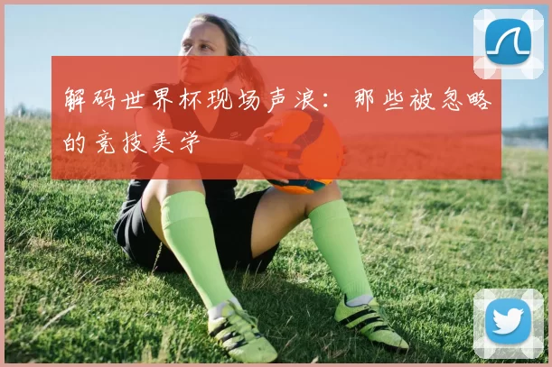 解码世界杯现场声浪:那些被忽略的竞技美学