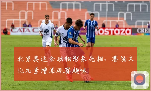 北京奥运会动物形象亮相,赛场文化元素增添观赛趣味