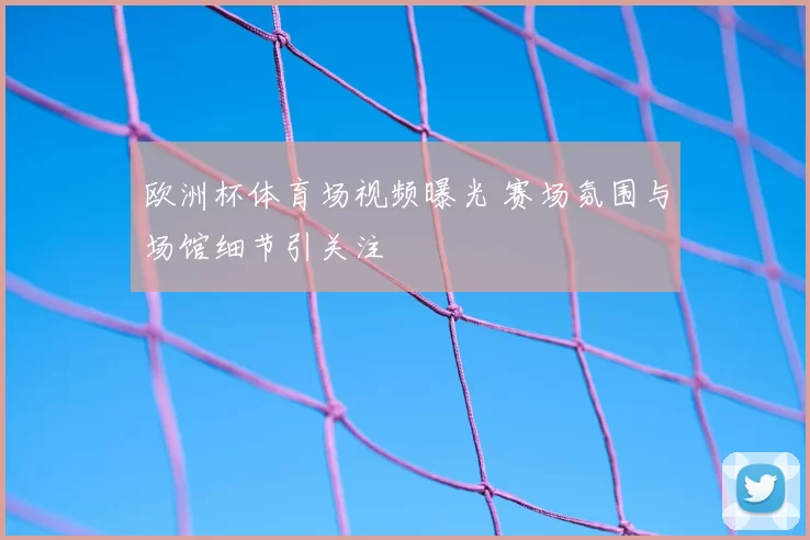 欧洲杯体育场视频曝光 赛场氛围与场馆细节引关注