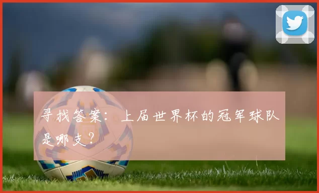 寻找答案：上届世界杯的冠军球队是哪支？