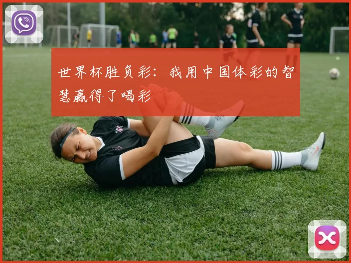 世界杯胜负彩：我用中国体彩的智慧赢得了喝彩